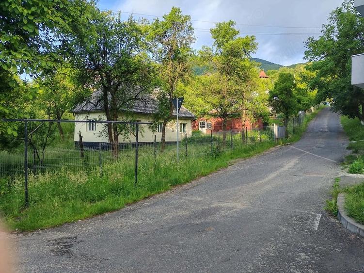 Teren intravilan si gospodarie batraneasca in Cavnic - 1