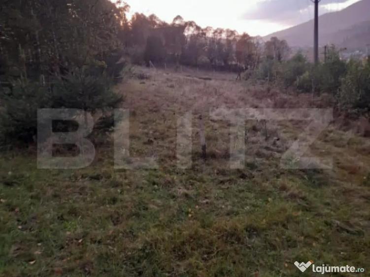 Teren intravilan de vanzare, 2280 mp, Vatra Dornei - 4