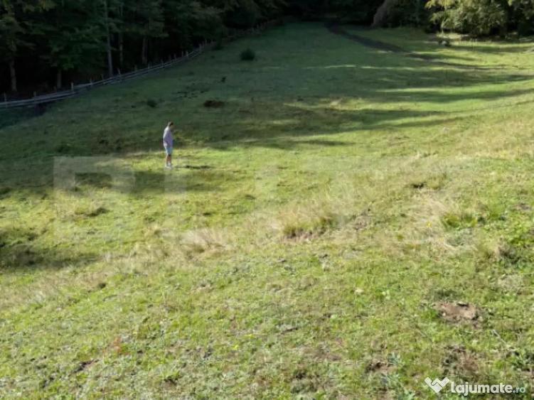 Teren intravilan 28 Ari zona Colibita - 4