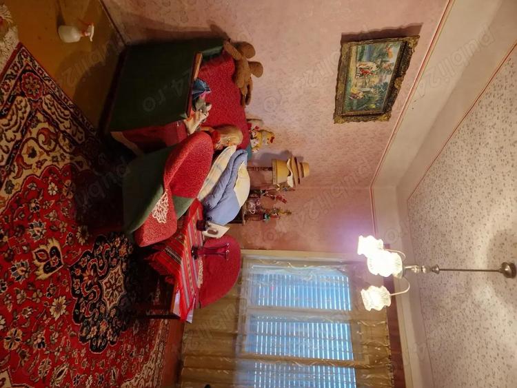 Casa de vanzare in ora?ul Deta - 2