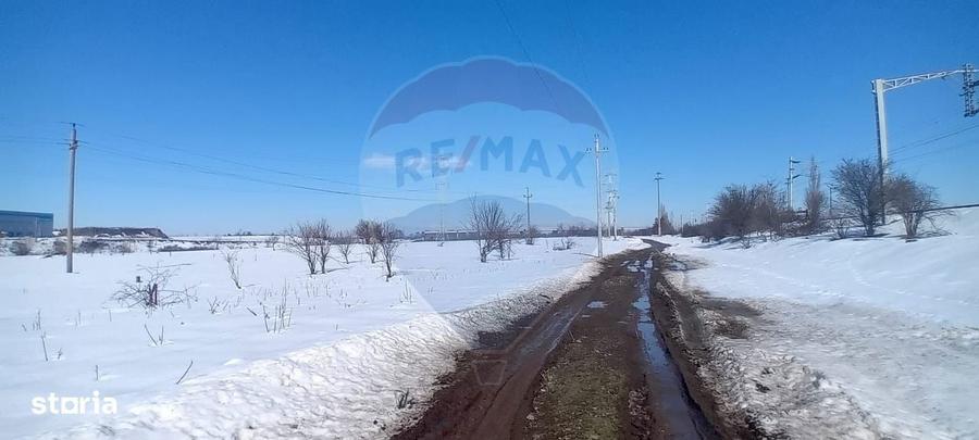 Teren 9,000mp Buftea / Strada Randunelelor - 7