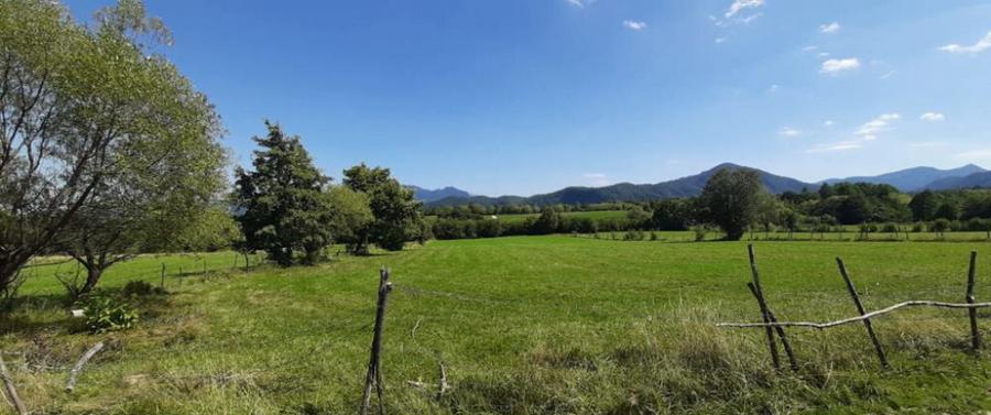 Teren 9350 mp Bran Livada, Extravilan - 2