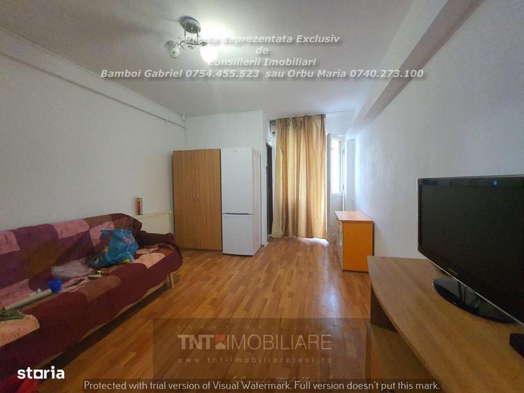 Garsoniera Alexandru cel Bun Dotari Complete Ideal Investi?ie - 8