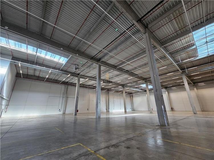 Spatiu Industrial - 6800 mp - Logistica - Productie - Depozitare - Distributie - 23
