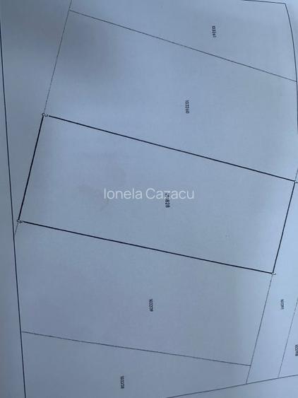 Teren intravilan, 1000 mp, Daia Noua