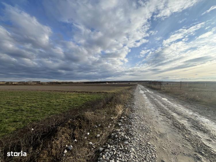 Oportunitate investitionala sau teren pretabil pentru constructii - 8