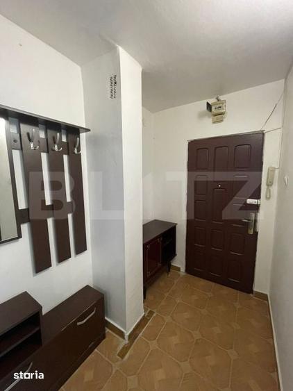 Garsoniera ideala pentru investitie, zona Lapus - Bulevardul Decebal - 4