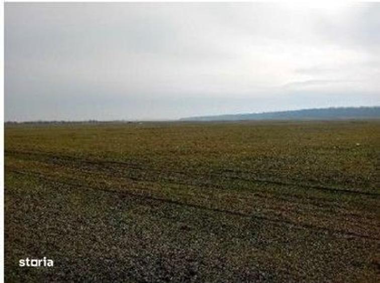 Teren extravilan 635 mp Harsesti, ID: R2922302 - 6