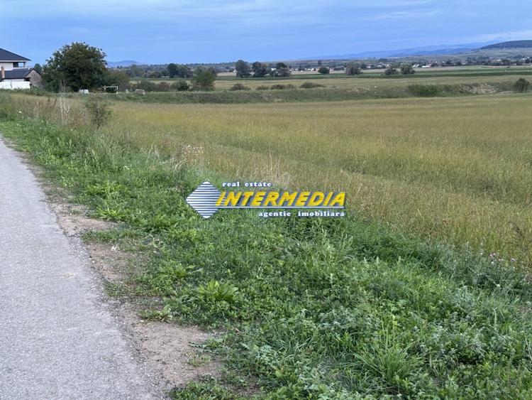 OKAZIE ! 2300 mp. Teren Intravilan Mereteu lat 22 m toate utilitatiile in fata - 5