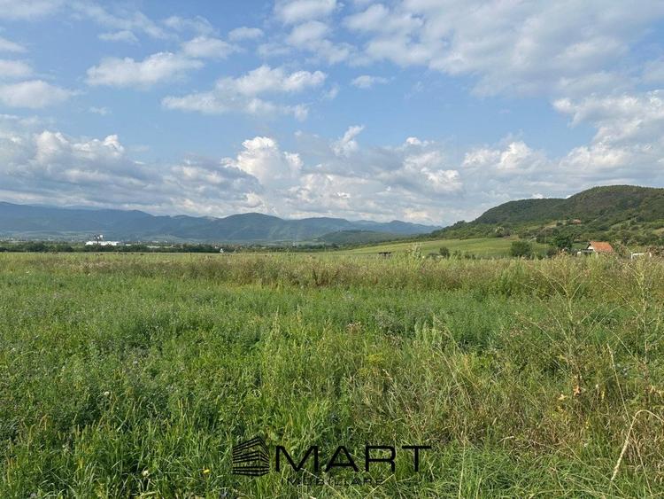 Teren extravilan 4800mp acces auto, Cristian - 3