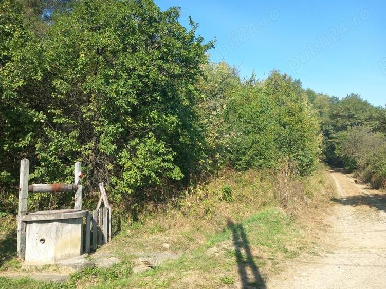 Teren de 2600 mp, în Rădășeni