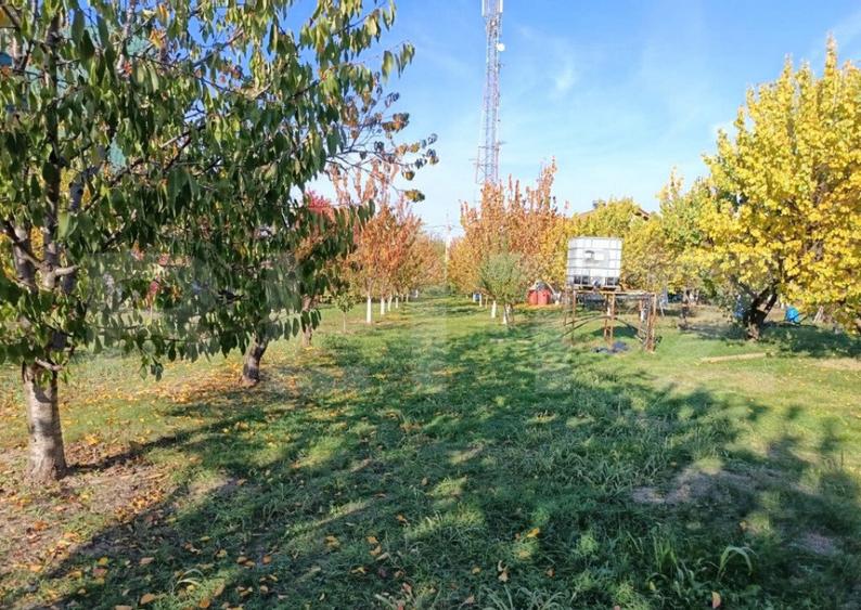 Teren Intravilan 6300 mp Magurele Prahova , Oportunitate ! - 6