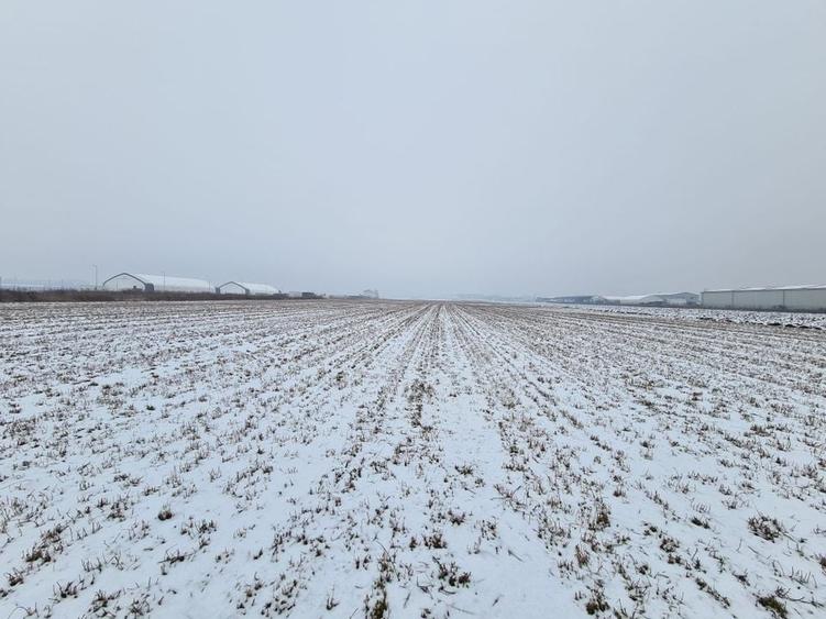 Teren industrial de vanzare in Stupini - 1