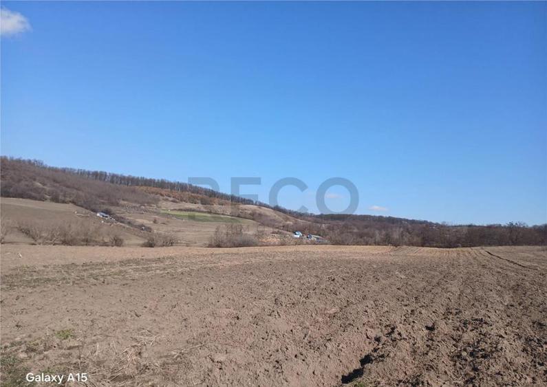 RECO teren Mierlau - 8