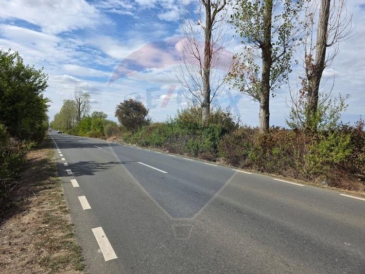 Teren 5000 mp deschidere Sos. Silistea Ciolpani - 2
