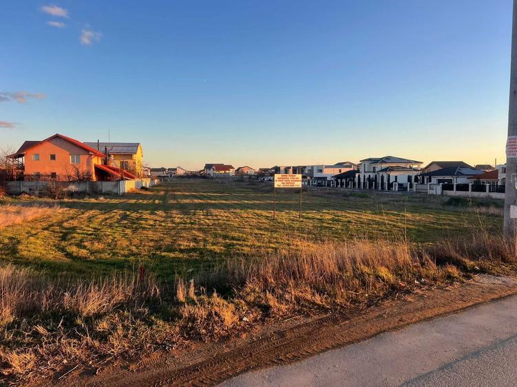 TEREN Selgros Malu Mare - 2