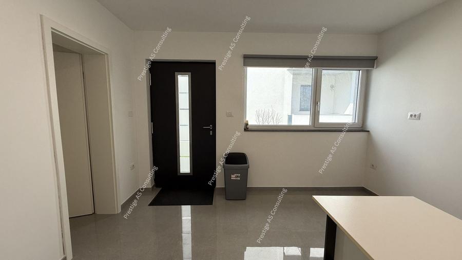 Spatiu Birou Office, Salon, Depozitare | Dumbravita-Parcul Terra - 9