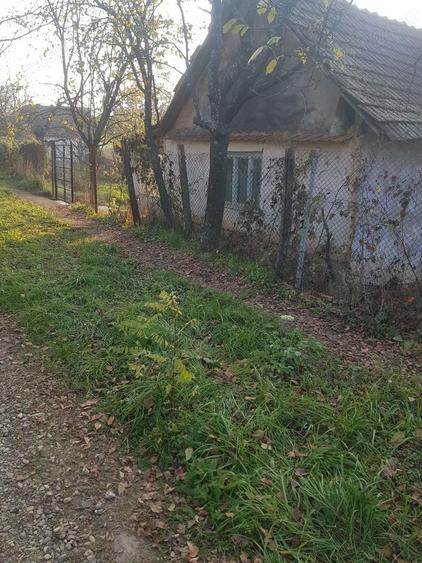 Casa Devanzare - 4