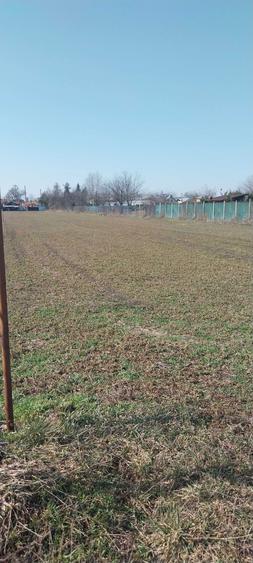 Teren de vanzare!! Tatarani PRAHOVA!!! - 6