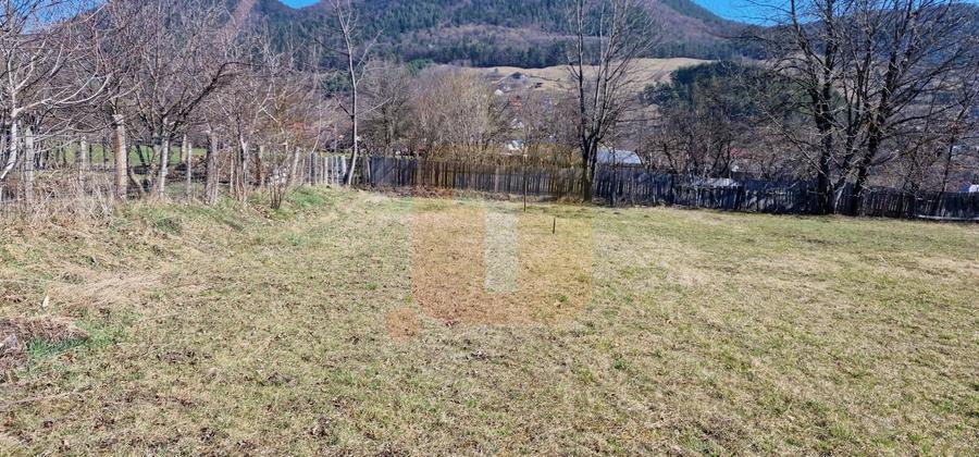 Teren Construcții intravilan de 4000 mp, în Alexandru cel Bun
