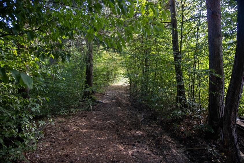 Investitie premium in turism-teren 6800mp langa lacuri Vulcan Brasov - 8