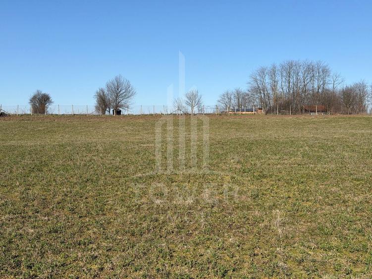 Teren intravilan de vânzare - Ocna Sibiului - 13