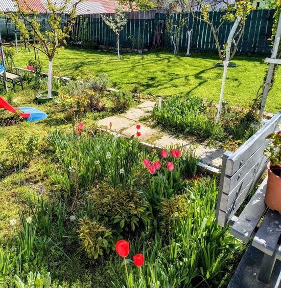 Vand teren cu casa - 8