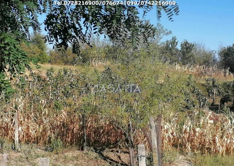 Casa situata in Bumbesti Pitic - Carligei - 7