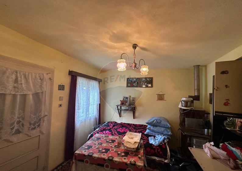 De vanzare GOSPODARIE in BUDESTI/ Maramures - 1