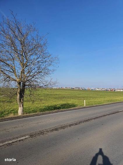 Teren de vanzare in Agigea, Varianta Agigea Techirghiol - 25000 mp - 1