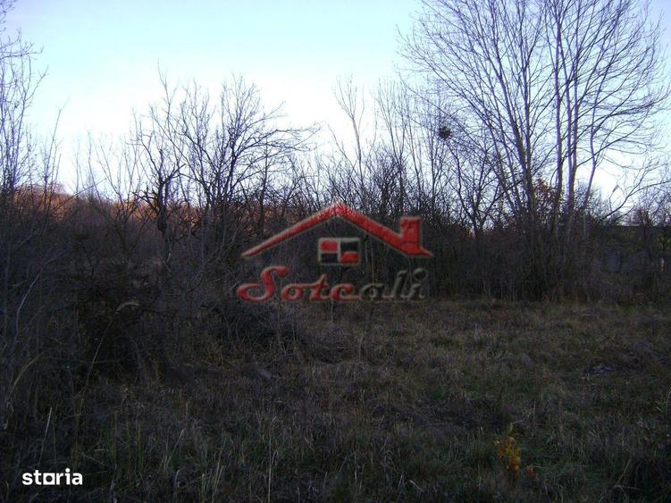 Teren de vanzare Cornu de Jos - 3