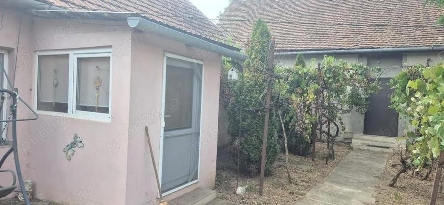 Vand casa in Sculia,Ora?ul Gataia,Jud Timi? (2158mp) - 9