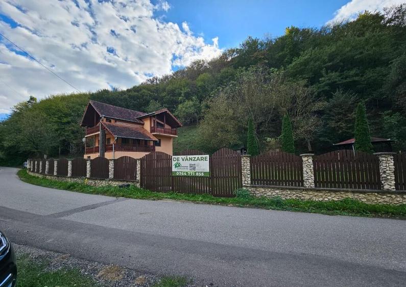 Vila Vetel zona Valea Caoi-OFERTA SPECIALA DE SARBATORI - 13