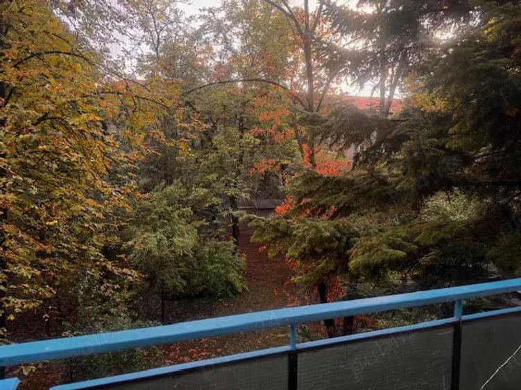 Apartament 3 camere (2 dormitoare) de vanzare Strada Bucure?ti, langa Facultatea de Medicina - 15