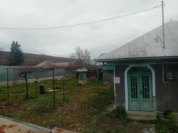 Casa Bodesti 50mp 2 camere bucataria anexe la sosea cu 1500mp teren lumina ,fintina cu apa - 6