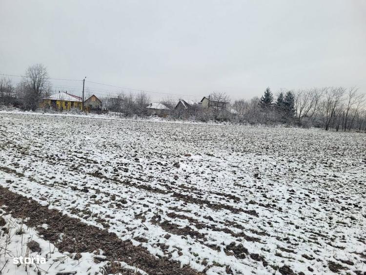 teren intravilan Baicoi - 2