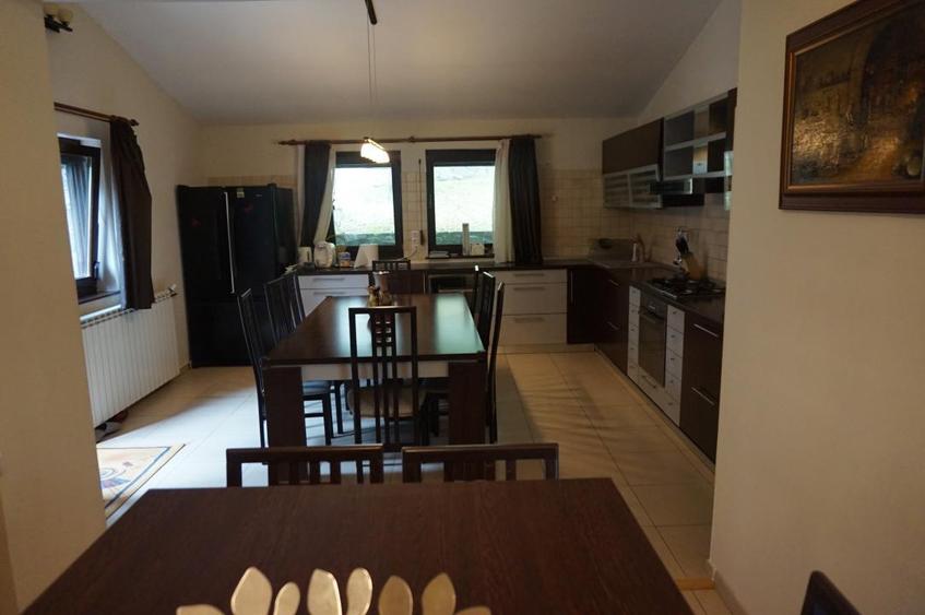 Campina Valea Doftanei Sotrile Paltinu - 6