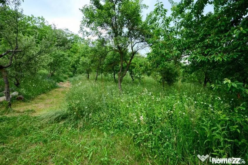 Casă cu 3 camere cu Teren 4696 Mp în Central
