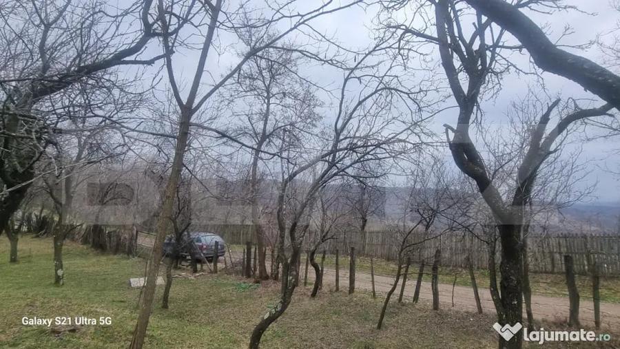 Teren în Schiulești