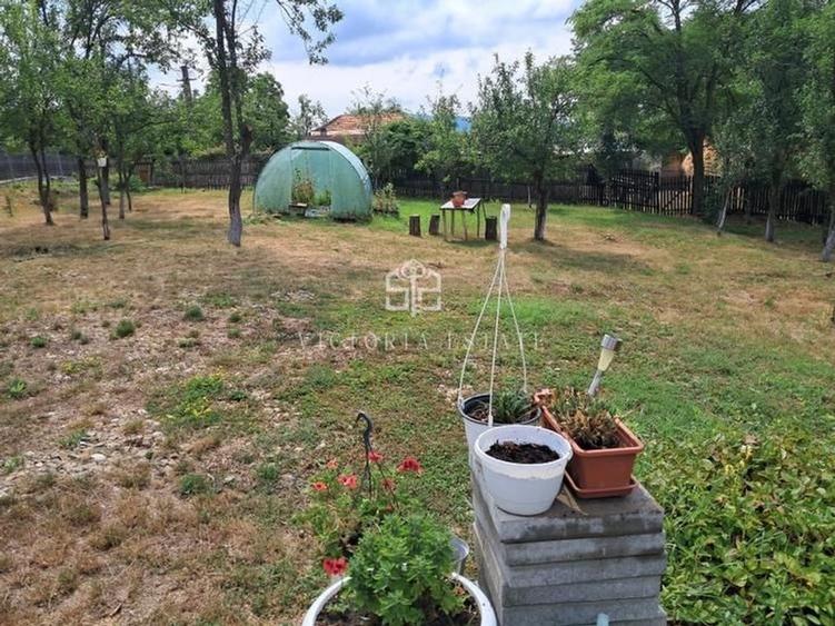 Casa si teren 2000 mp - 3