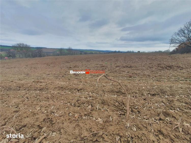 Teren de vanzare - 2