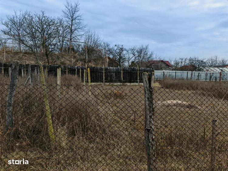 Teren constructii langa oras, Letea-Veche - 3