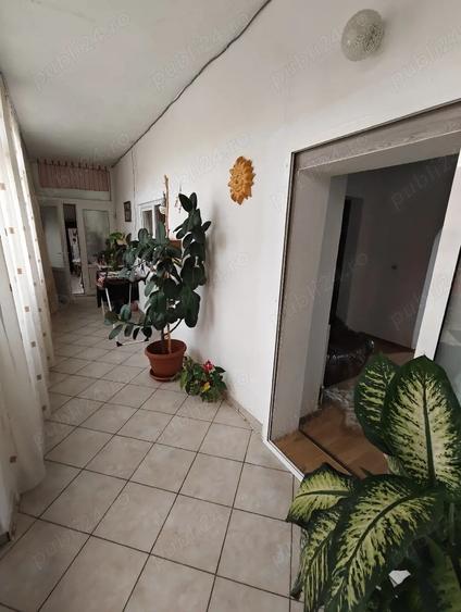 Vand casa Voiteg - 8