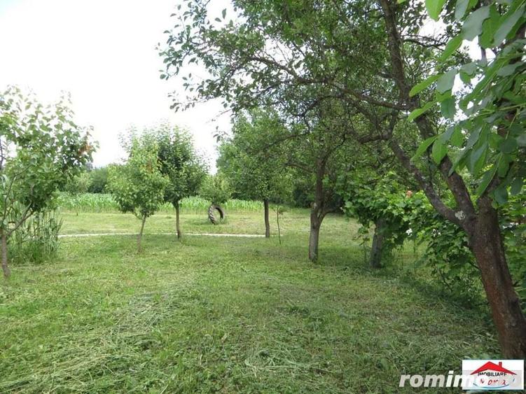 Viile Satu Mare 2 case cu teren 3200 mp - 2