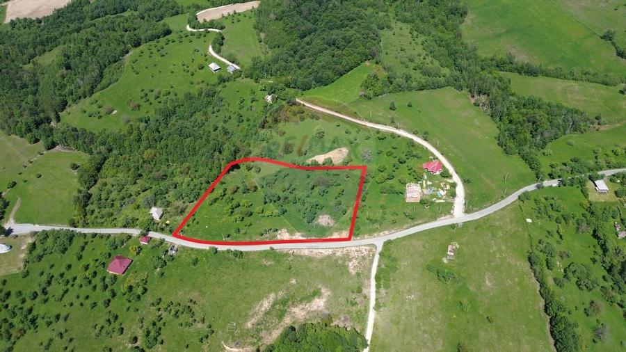 DE VÂNZARE – Teren intravilan Codru Butesii / Strada Principală - 1