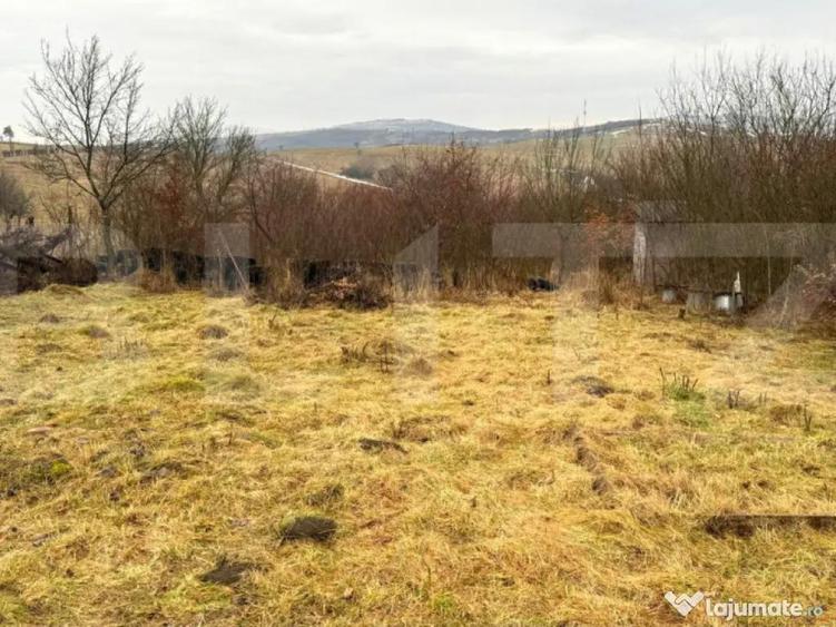 Teren extravilan de vanzare, Valea Budavului - 8