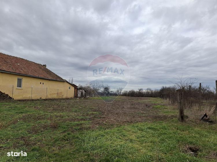Teren intravilan 1,241mp Frumuseni, Arad - 5