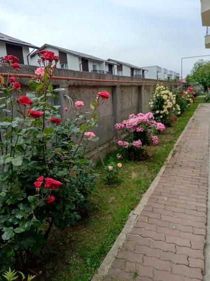 MAGURELE, Vila an 2012 S+P+E+M, Sutila 315mp, garaj, foisor, centrala proprie - 15