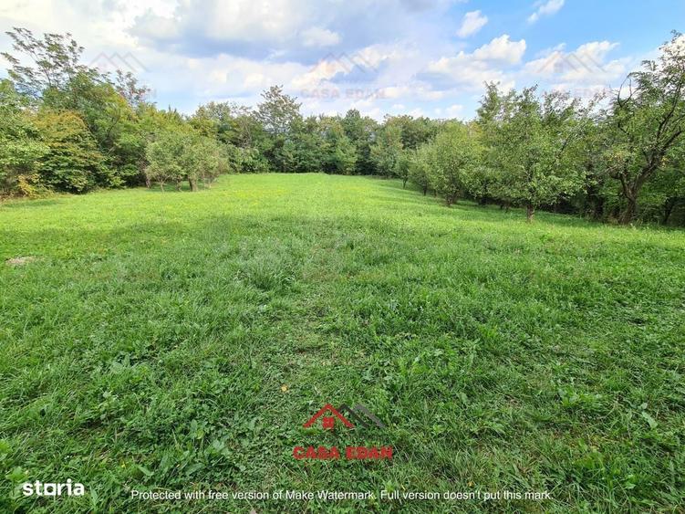 Teren intravilan in Poiana Campina zona retrasa 3287mp 10e - 9