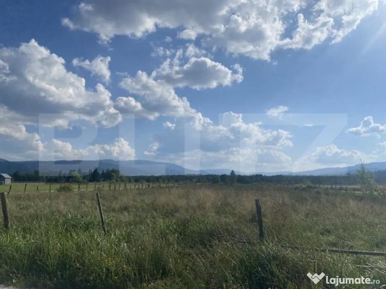 Vanzare teren 3850 mp Panaci - 1